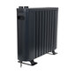 Bezeļļas radiators Eurom, 1000 W cena un informācija | Sildītāji | 220.lv