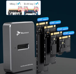 Reagle RY6M2 цена и информация | Адаптеры и USB разветвители | 220.lv