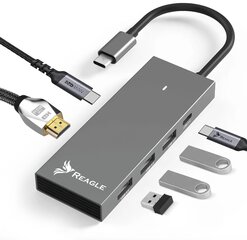 Reagle RHUB54C цена и информация | Адаптеры и USB разветвители | 220.lv