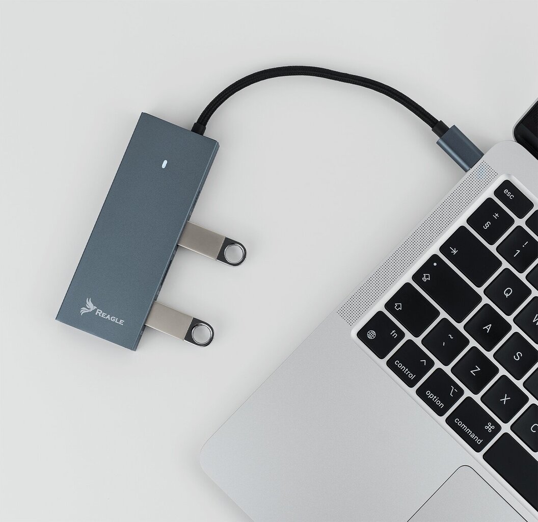 Reagle RHUB54C cena un informācija | Adapteri un USB centrmezgli | 220.lv