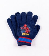 Детские перчатки Spiderman 1802281 01 1802281*01-ONE, тёмно-синие /синие цена и информация | Шапки, перчатки, шарфы для мальчиков | 220.lv