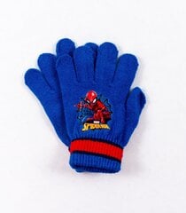 Cimdi zēniem Spiderman 1802281 02, zili cena un informācija | Cepures, cimdi, šalles zēniem | 220.lv