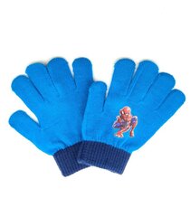 Детские перчатки 180177 02 180177*02-ONE, бирюзовые цена и информация | Шапки, перчатки, шарфы для мальчиков | 220.lv