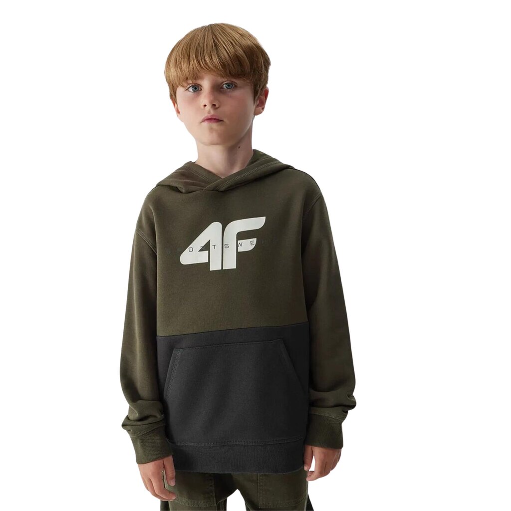 Jaka zēniem 4F, zaļa/melna cena un informācija | Zēnu jakas, džemperi, žaketes, vestes | 220.lv
