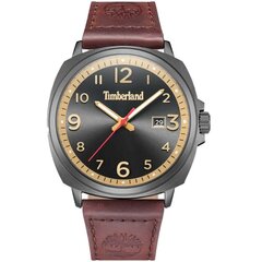 Timberland Actwell TDWGB0028602 TDWGB0028602 цена и информация | Мужские часы | 220.lv