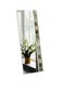 Dekoratīvs spogulis Asir, 50x152 cm, balts/zaļš cena un informācija | Spoguļi | 220.lv