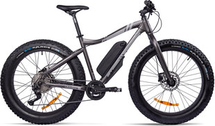 Elektriskais velosipēds GZR Rough-e Fatbike 17", pelēks цена и информация | Электровелосипеды | 220.lv