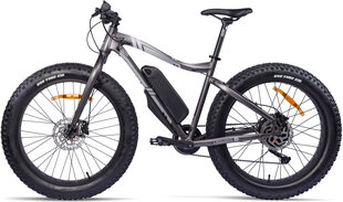 Elektriskais velosipēds GZR Rough-e Fatbike 17", pelēks цена и информация | Электровелосипеды | 220.lv