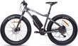 Elektriskais velosipēds GZR Rough-e Fatbike 17", pelēks цена и информация | Elektrovelosipēdi | 220.lv