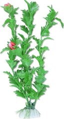 Augu blisters 20cm 2b42 Happet cena un informācija | Akvārija augi, dekori | 220.lv