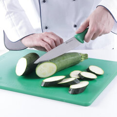 Pavāra nazis dārzeņiem un augļiem Haccp 320mm - zaļš - 842614 cena un informācija | Naži un to piederumi | 220.lv