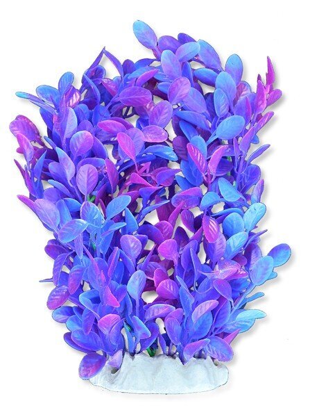 Folija augs 20cm 2f25 Happet цена и информация | Akvārija augi, dekori | 220.lv