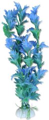 Растение блистер 20см 2b44 Хаппет цена и информация | Аквариумные растения и декорации | 220.lv