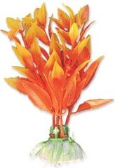 Растение блистер 10 см 1B05 Хаппет цена и информация | Аквариумные растения и декорации | 220.lv