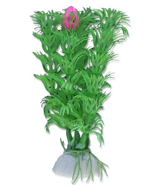 Augu blisteris 10cm 1b06 Happet cena un informācija | Akvārija augi, dekori | 220.lv