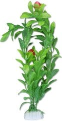 Растение блистер 20 см 2b51 Хаппет цена и информация | Аквариумные растения и декорации | 220.lv