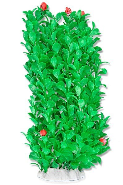 Folija augs 40cm 4f30 Happet cena un informācija | Akvārija augi, dekori | 220.lv