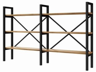 Industriālais stila plaukts no Double sērijas, Decorates 100x160 cm цена и информация | Полки | 220.lv