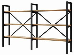 Industriālais stila plaukts no Double sērijas, Decorates 200x100 cm цена и информация | Полки | 220.lv