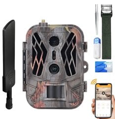 Охотничья камера Livman HC-950Pro 4G + SIM-карта  цена и информация | Охотничьи принадлежности | 220.lv