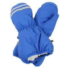 Huppa ziemas dūraiņi bērniem 90g Roy 8110Base*60035, zili цена и информация | Шапки, перчатки, шарфы для мальчиков | 220.lv