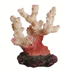 Happet akvārija rotājums R113 koraļļi 6,5 cm cena un informācija | Akvārija augi, dekori | 220.lv