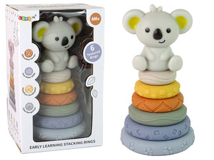 Piramīdas koala Lean Toys cena un informācija | Rotaļlietas zīdaiņiem | 220.lv