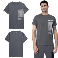 T-krekls vīriešiem 4F 4FSS23TTSHM306, pelēks cena un informācija | Vīriešu T-krekli | 220.lv