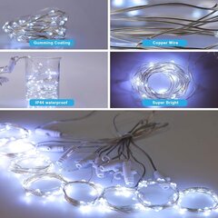 LED-лента для Нового года с пультом от USB, белая, 3x3 м цена и информация | Гирлянды | 220.lv