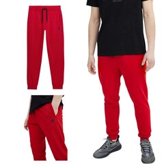 Sweatpants 4F красные, размер L 4FSS23TTROM223_CZERWONY_L цена и информация | Мужские брюки | 220.lv