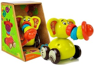 Rotaļu auto - Zilonis Lean Toys, zaļš cena un informācija | Rotaļlietas zīdaiņiem | 220.lv
