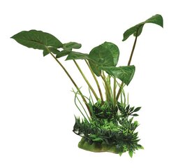 Фольгированное растение Happet 0F01 микс фиолетового и зеленого цена и информация | Аквариумные растения и декорации | 220.lv
