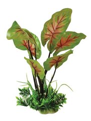 Folija augu 0F05 mix zaļš Happet цена и информация | Аквариумные растения и декорации | 220.lv
