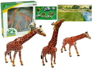 Развивающие фигурки «Жирафы» для всей семьи, 3 предмета + фон «Африка» цена и информация | Конструктор автомобилей игрушки для мальчиков | 220.lv