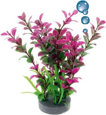 Folija augu 0F13 mix violeta un zaļa Happet cena un informācija | Akvārija augi, dekori | 220.lv