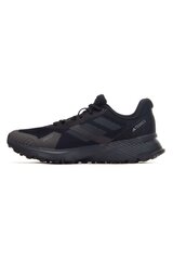 Ботинки adidas TERREX SOULSTRIDE R.RDY, черные, р. 42 IF5015_42 цена и информация | Кроссовки для мужчин | 220.lv