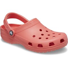 Čības sievietēm Crocs™ Classic 243525, sarkanas цена и информация | Шлепанцы, тапочки для женщин | 220.lv