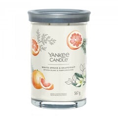 Yankee Candle tumbleris ar 2 daktīm BALTĀ SPRŪCE &amp; GRAPEFRŪTS cena un informācija | Sveces un svečturi | 220.lv