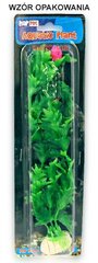 Растение блистер 10 см 1b11 Хаппет цена и информация | Аквариумные растения и декорации | 220.lv