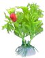 Augu blisters 10cm 1b11 Happet cena un informācija | Akvārija augi, dekori | 220.lv