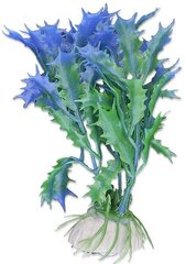 Augu blisters 10cm 1b13 Happet cena un informācija | Akvārija augi, dekori | 220.lv