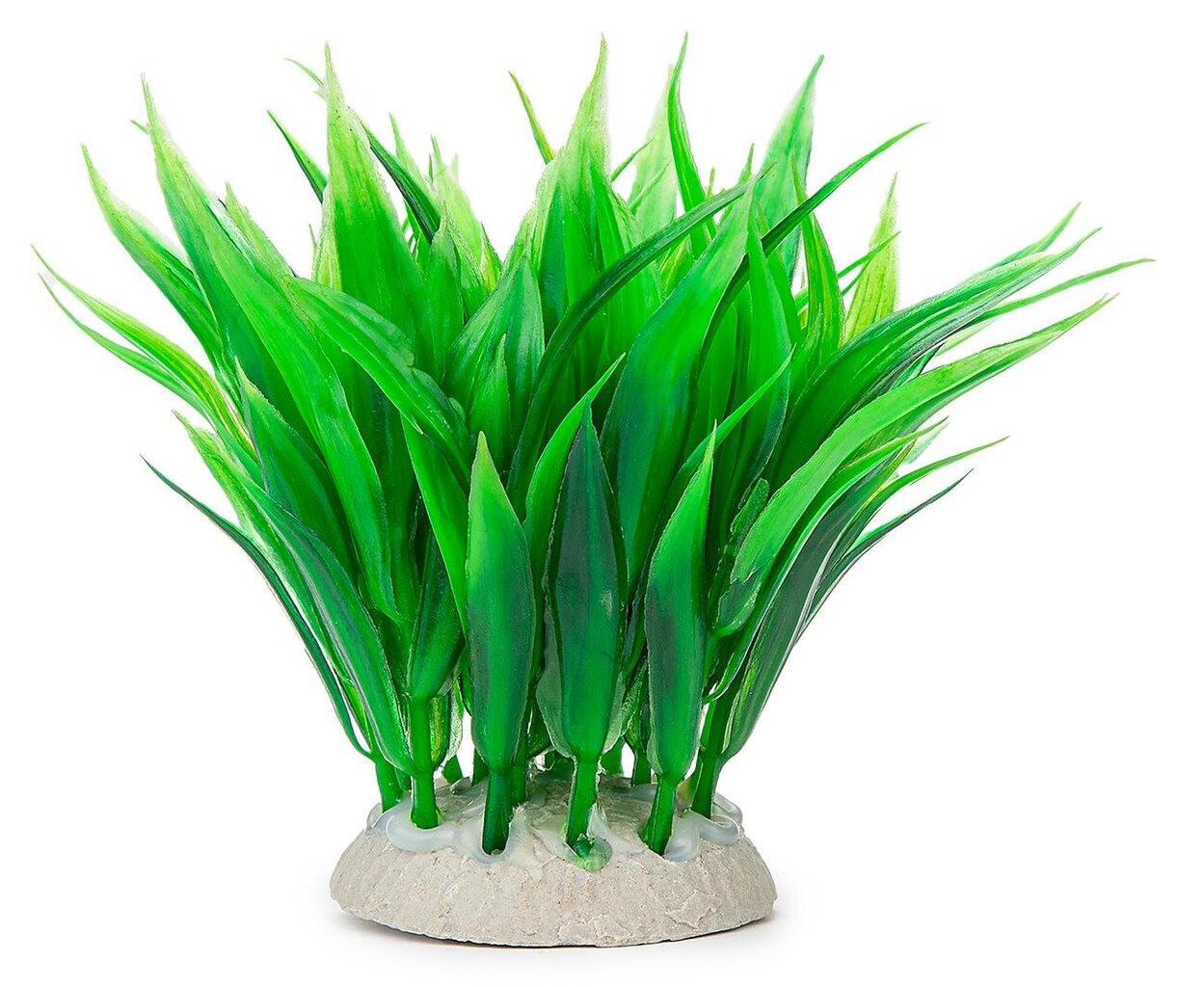 Folija augs 10cm 1f08 Happet цена и информация | Akvārija augi, dekori | 220.lv