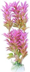 Растение блистер 20см 2b35 Хаппет цена и информация | Аквариумные растения и декорации | 220.lv