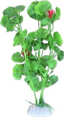 Растение блистер 20см 2b46 Хаппет цена и информация | Аквариумные растения и декорации | 220.lv