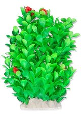 Folija augs 20cm 2f11 Happet cena un informācija | Akvārija augi, dekori | 220.lv