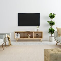 TV galdiņš Asir, 120x48,2x29,6 cm, bēšs cena un informācija | TV galdiņi | 220.lv