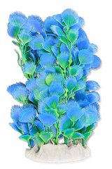 Folijos augalas 20cm 2f19 Happet cena un informācija | Akvārija augi, dekori | 220.lv