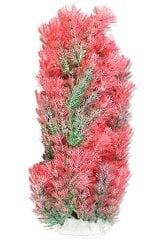 Folija augs 40cm 4f27 Happet cena un informācija | Akvārija augi, dekori | 220.lv