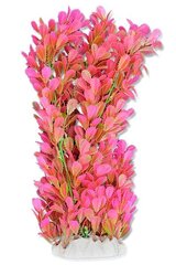 Folija augs 40cm 4f28 Happet cena un informācija | Akvārija augi, dekori | 220.lv