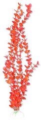 Augu blisters 40cm 4b61 Happet cena un informācija | Akvārija augi, dekori | 220.lv